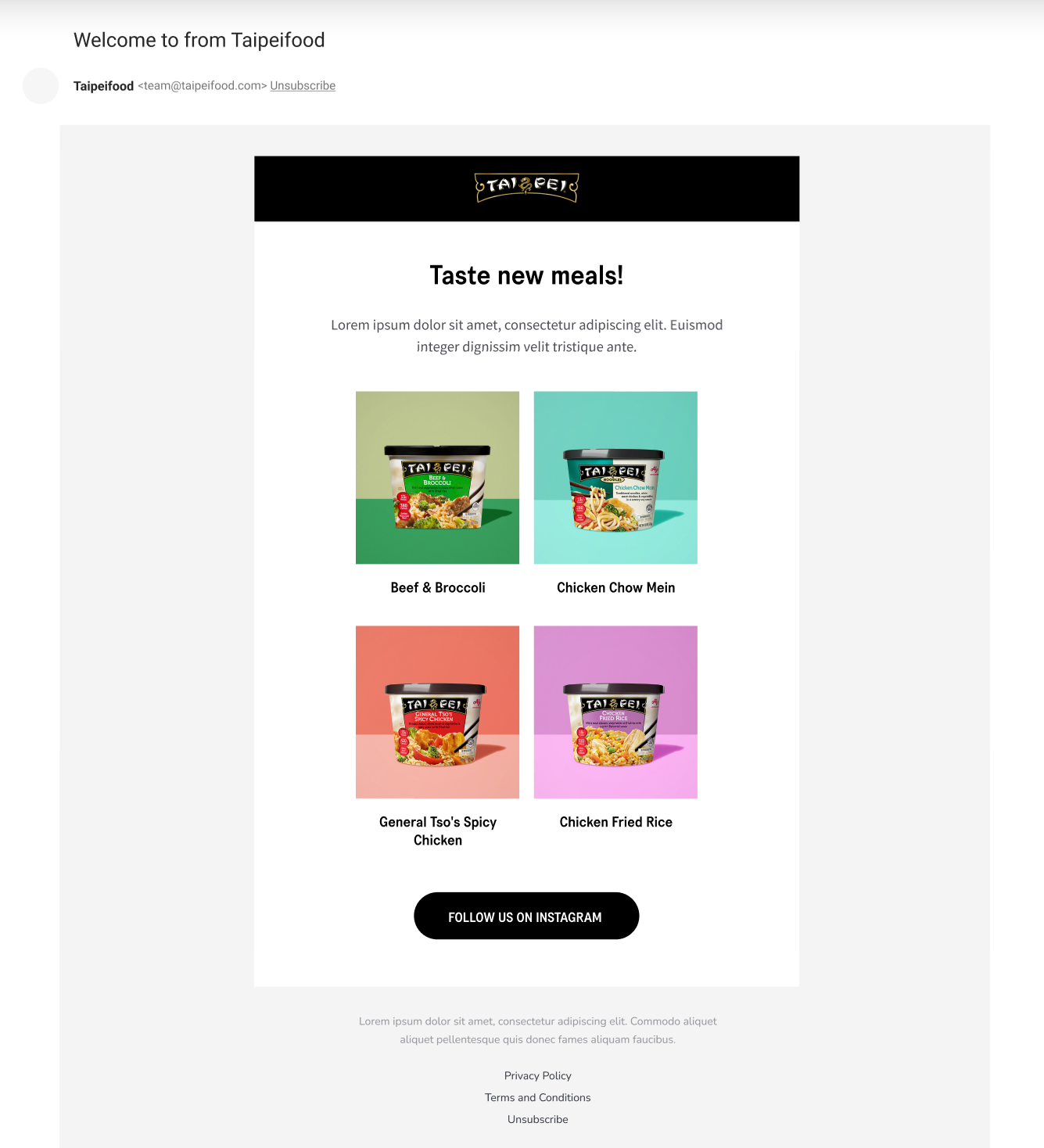 Email Template 13