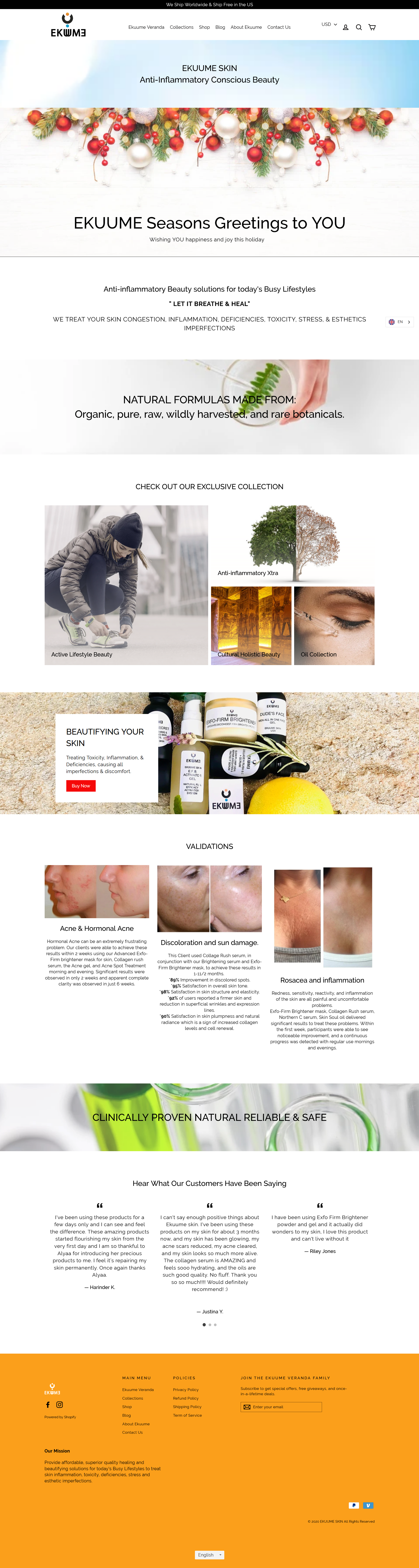 Website Design 7